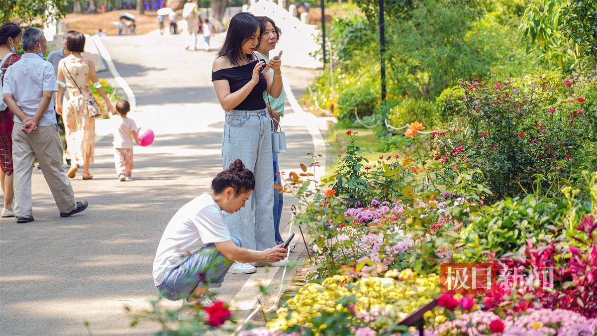 百家乐大全